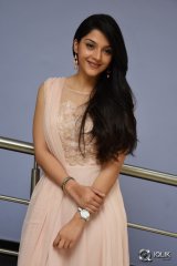 Mehreen at Krishna Gadi Veera Prema Gaadha Movie Thanks Meet